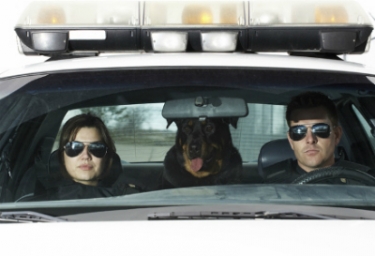 I-View Now’s Free Police Portal Could Expedite Response with Video Verification