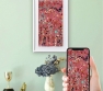 Netgear Meural Canvas Includes Artwork From National Geographic